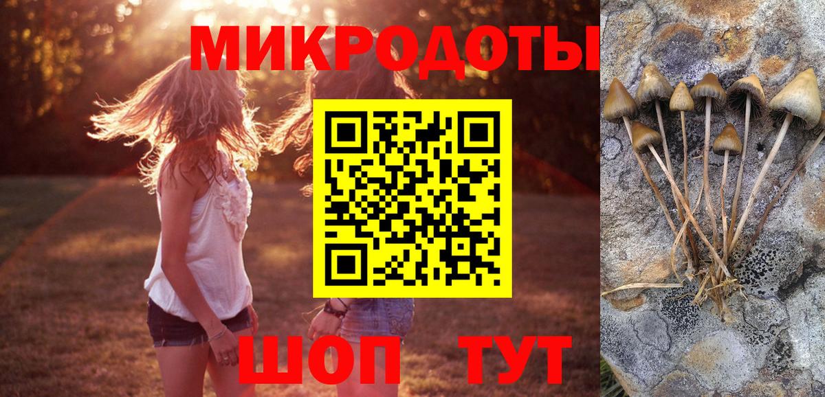 Псилоцибиновые грибы MAGIC MUSHROOMS  Вход с VPN  Кимры 