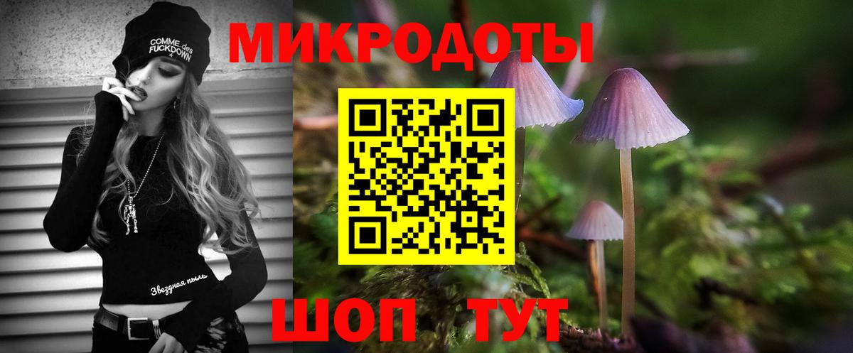 Псилоцибиновые грибы прущие грибы Кимры